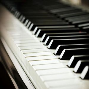 能看阴茎插进阴道里的软件
