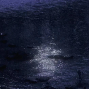 能看阴茎插进阴道里的软件
