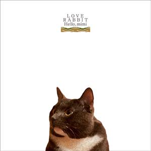 能看阴茎插进阴道里的软件
