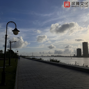 能看阴茎插进阴道里的软件
